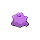 ditto — heartgold soulsilver
