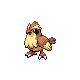pidgey — heartgold soulsilver