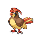 pidgeotto — heartgold soulsilver