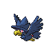 murkrow — heartgold soulsilver
