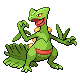 sceptile — heartgold soulsilver