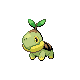 turtwig — heartgold soulsilver