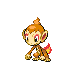 chimchar — heartgold soulsilver