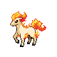 ponyta — heartgold soulsilver