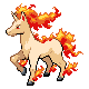 rapidash — heartgold soulsilver