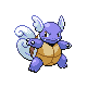 wartortle — heartgold soulsilver