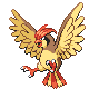 pidgeotto — platinum