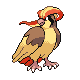 pidgeot — platinum