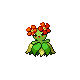 bellossom — platinum