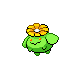 skiploom — platinum