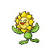 sunflora — platinum