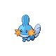 mudkip — platinum