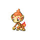 chimchar — platinum