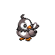 starly — platinum