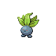 oddish — platinum