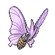 venomoth — platinum
