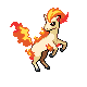 ponyta — platinum