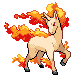 rapidash — platinum