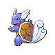 wartortle — platinum