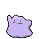 ditto — champions