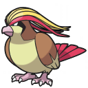 pidgeot — champions