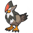 staraptor — champions