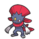 weavile — champions