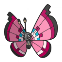vivillon — champions