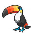 toucannon — champions