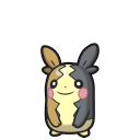 morpeko full belly — champions