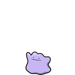 ditto — scarlet violet