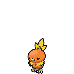 torchic — scarlet violet