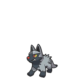poochyena — scarlet violet