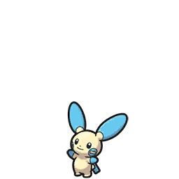 minun — scarlet violet