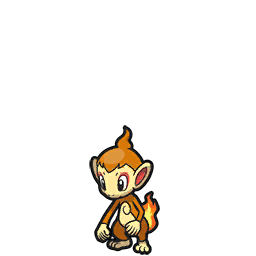 chimchar — scarlet violet