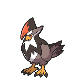 staraptor — scarlet violet