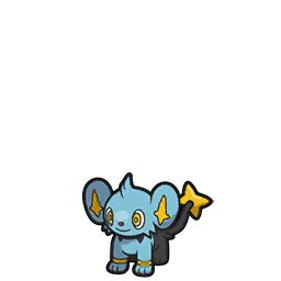 shinx — scarlet violet