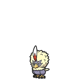 rufflet — scarlet violet