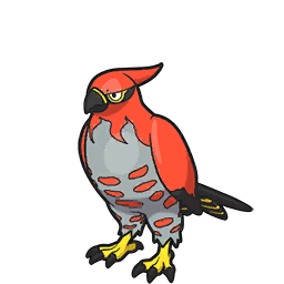 talonflame — scarlet violet