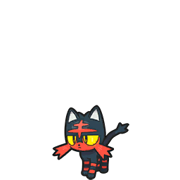 litten — scarlet violet