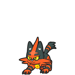 torracat — scarlet violet