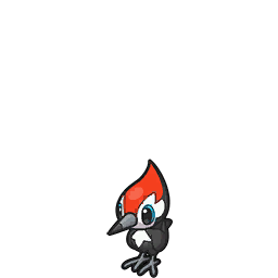 pikipek — scarlet violet