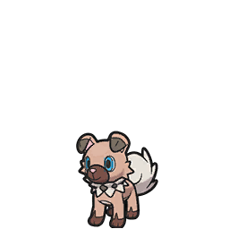 rockruff — scarlet violet