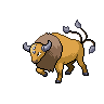 tauros — black white