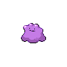ditto — black white