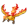 moltres — black white