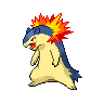 typhlosion — black white