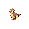 pidgey — black white