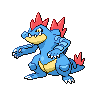 feraligatr — black white
