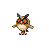 hoothoot — black white